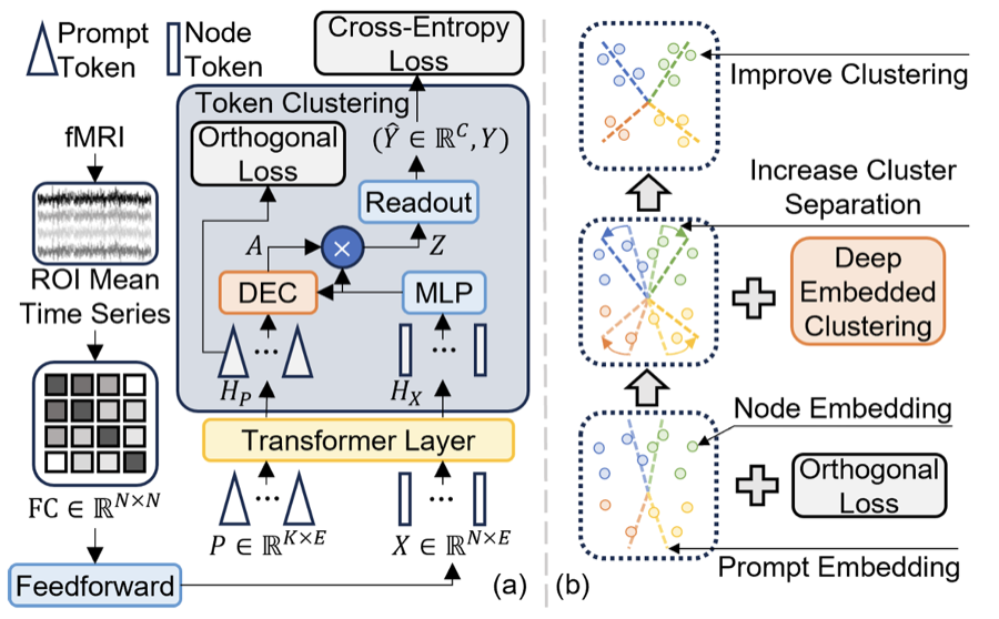 Community-aware brain connectome transformer architecture