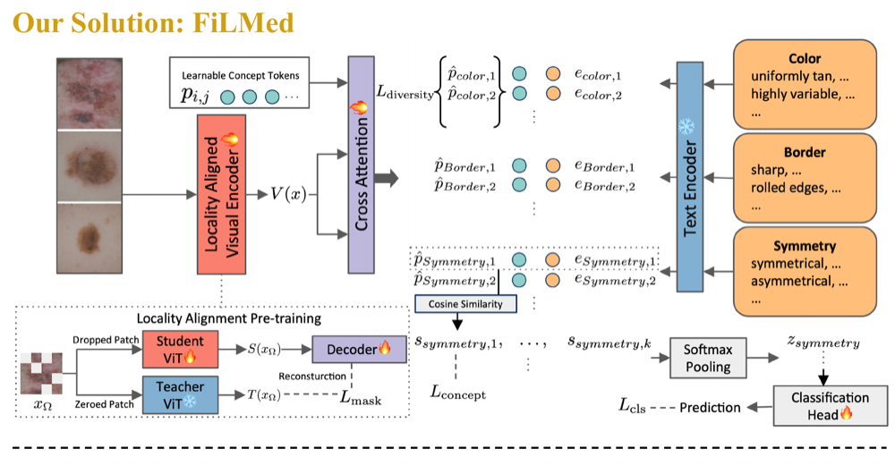 FiLMed architecture aligning localized visual features with fine-grained clinical concepts
